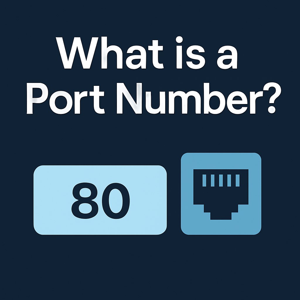 IP addresses and port numbers
